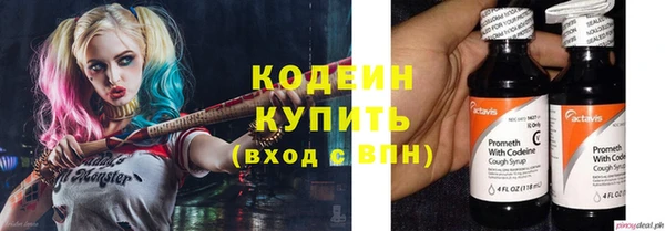 хмурый Арсеньев