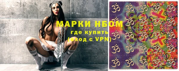 хмурый Арсеньев