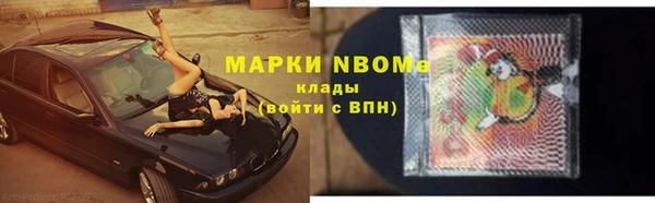 хмурый Арсеньев