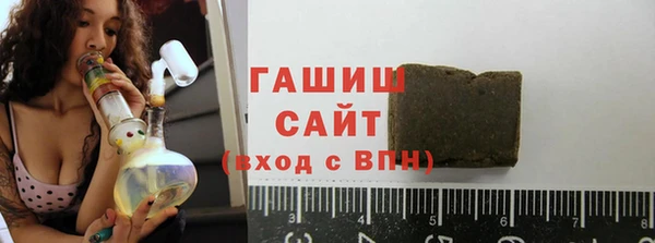 хмурый Арсеньев