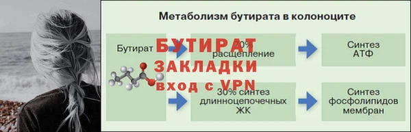 шишки Ростов